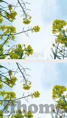 即时足球比分足球竞彩网-即时足球比分与足球竞彩网，深度解析与理性投注之道