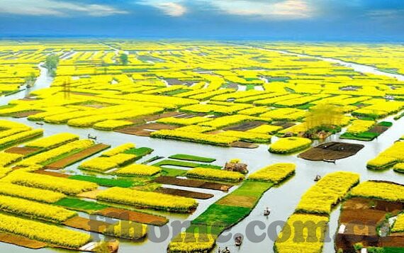 篮球足球比分怎么算-从入门到精通，一文读懂篮球与足球比分计算规则