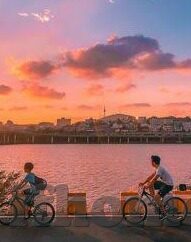 下载足球实时比分-下载足球实时比分APP，解锁赛事动态，畅享绿茵激情