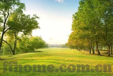 足球比分直播英超积分-英超风云变幻，实时比分直播背后的积分争夺战与格局重塑