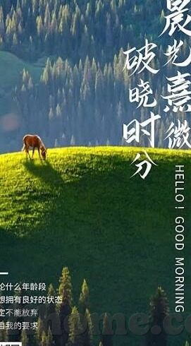 足球猜比分的网站-揭秘足球比分竞猜网站，是娱乐天堂还是赌博陷阱？