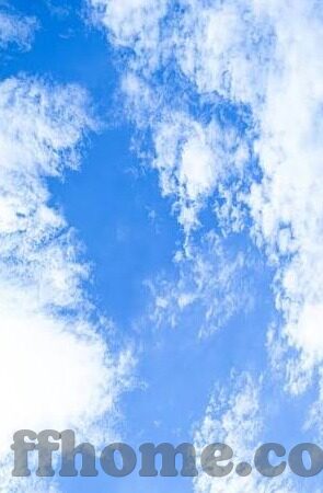 足球皇冠比分-足球皇冠比分，绿茵场上的数字交响曲